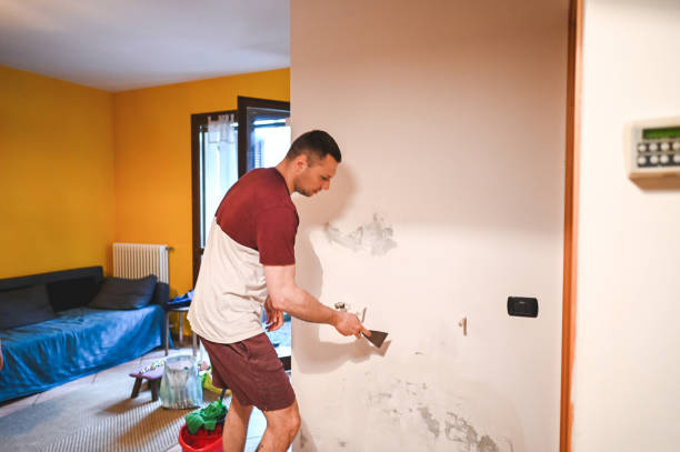 Best Office Mold Removal Services  in Skidaway Island, GA